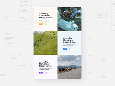 Animal Manager — Landing button cover design development figma h1 hero image landing landing page ui ux