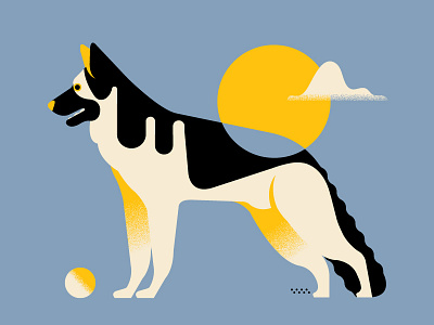 Dog and a ball - colour and form exploration (Personal '22) animals design editorial grain graphic design illustration