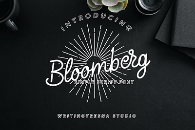 Bloomberg Simple Script Font calligraphy font font awesome font script handlettering letter lettering script simple