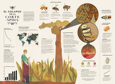 El colapso de la corte ápida | bee infographic bees design graphic design illustration illustration art infographic original art surreal art