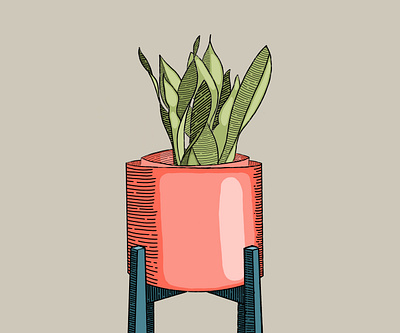 Plant colour design illustration plant procreate