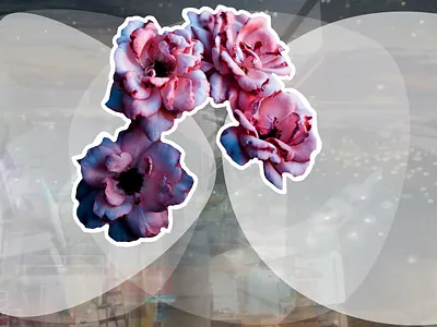 Cities Become a Blur flower photography vector vector art white