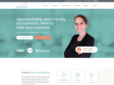 Streamline - Web Design design homepage interface landing page ui web web design website website design