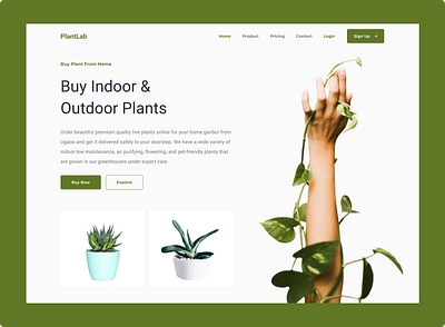 Plant Shop Landing Page ecommerce home page homepage landing page landingpage online shop onlineshop plant plant home page plant homepage plant landing page plant landingpage plant shop plant web plant website plants plantshop shop web website