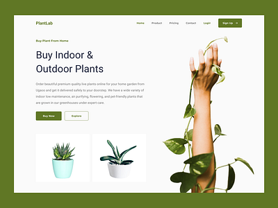 Plant Shop Landing Page ecommerce home page homepage landing page landingpage online shop onlineshop plant plant home page plant homepage plant landing page plant landingpage plant shop plant web plant website plants plantshop shop web website