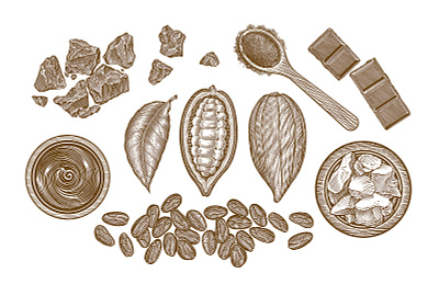Cocoa Illustrations branding chocolate cocoa food illustration roger xavier scratchboard woodcut