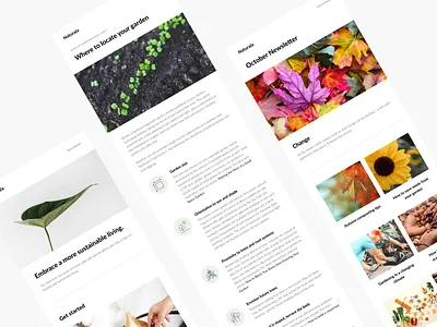 Blog Newsletter email email banner email campaign email newsletter email template minimal newsletter newsletter design