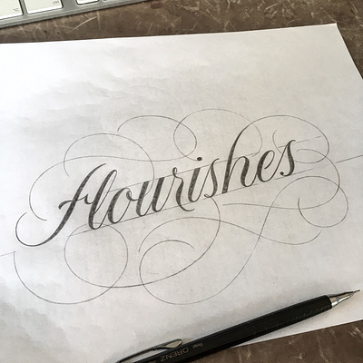 Flourishes flourishes lettering sketch