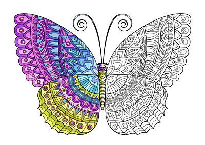 Bright butterfly. Coloring for adult adult coloring coloring book coloring page design illustration vector