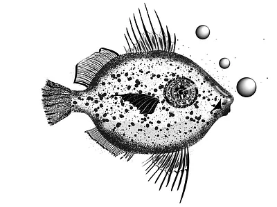 Fish design illustration minimal