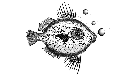 Fish design illustration minimal