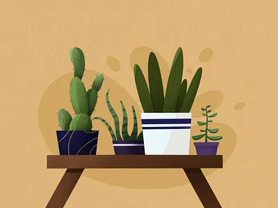 plants 2d art 2d illustration color design flat mobile plant planting plants plants app procreate room shape texture things web website design