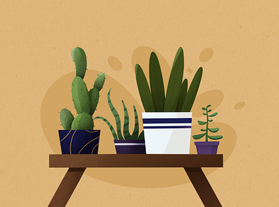 plants 2d art 2d illustration color design flat mobile plant planting plants plants app procreate room shape texture things web website design