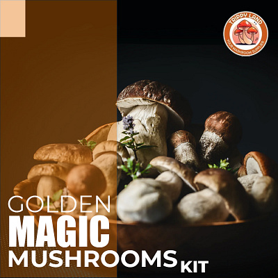 Magic Mushroom Grow Kit mushroom burialsuit mushroom coffee mushroom gravy mushroom identification mushroom pasta mushroom recipes mushroom risotto mushroom sauce mushroom soup mushroom stroganoff