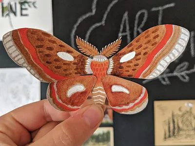 Cut paper moth art handmade nature