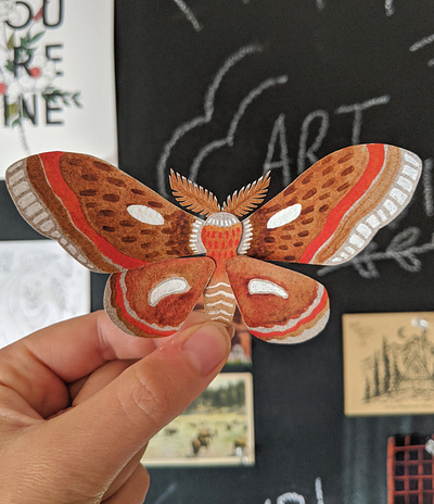 Cut paper moth art handmade nature
