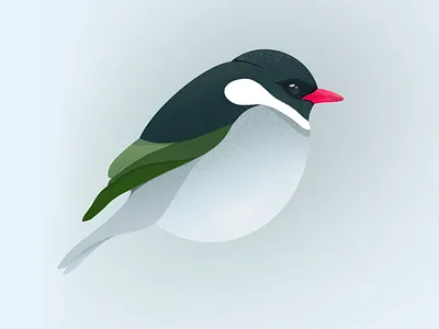 Bird branding design flat illustration minimal vector