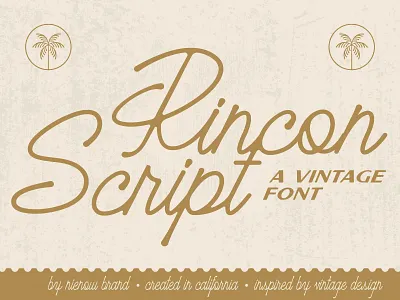Rincon Script Font badge design font lockup nienowbrand retro design retro font retro logo rincon script rincon script script font script logo vintage vintage logo vintage script font