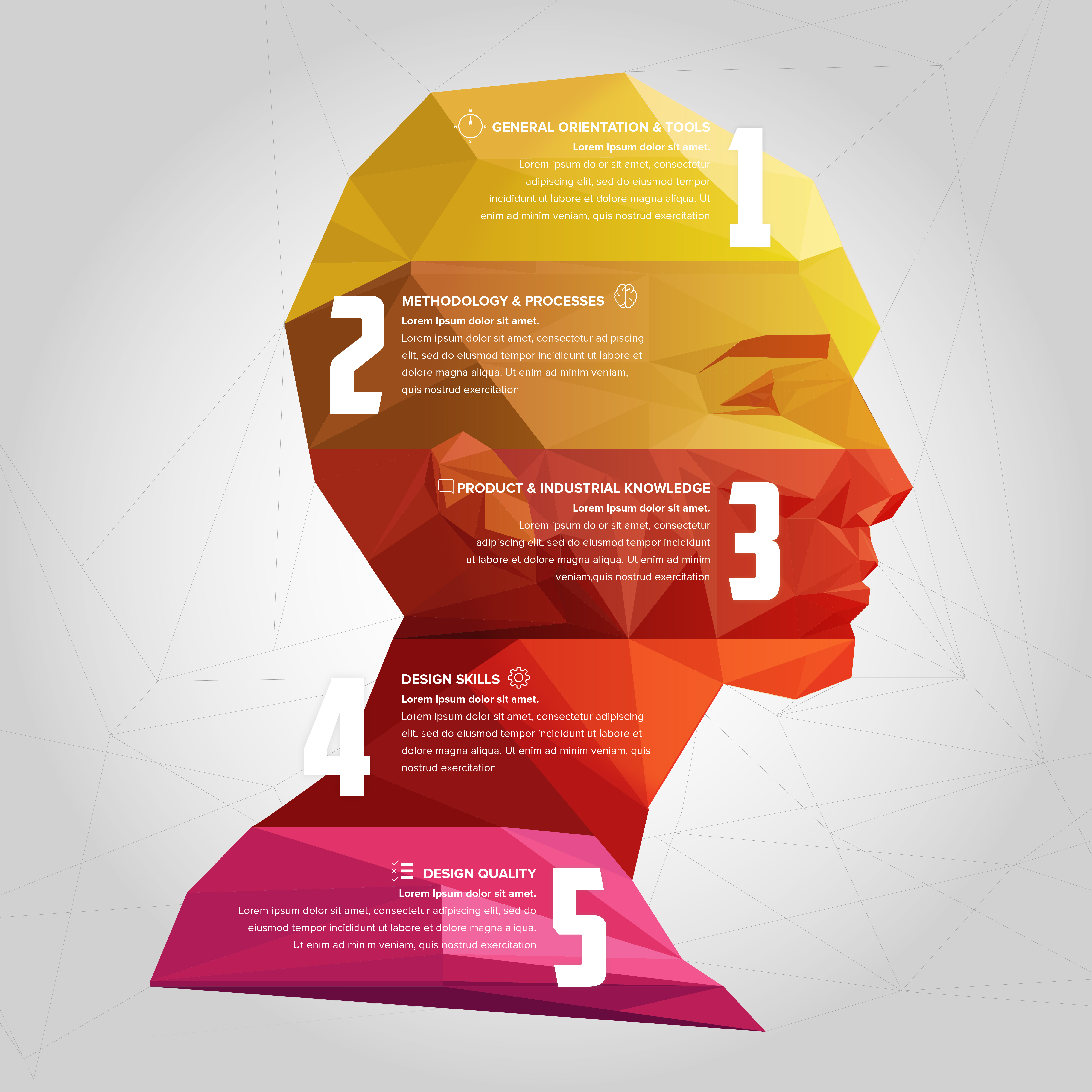 Infographic design graphic design illustration illustrator infographic presentations