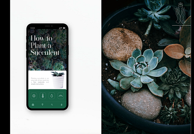 Resilience Plants app green plants seed succulent