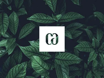 CA Personal Identity Mark brand brand identity branding branding agency branding design design icon identity identity design logo logo design logo mark logos