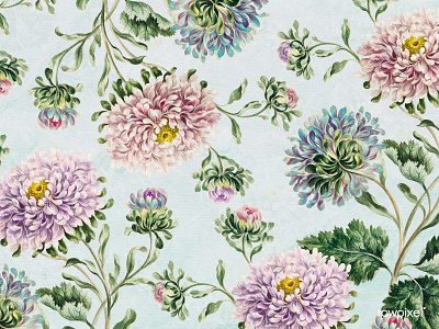 Botanical : Background background background design background image background images background picture blue background botanical botanical background china aster flower background china aster flower pattern copyspace decoration decorative design design element design resource design space floral floral background floral wallpaper