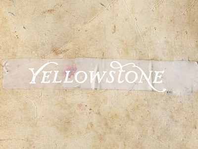 Yellowstone album album cover cover design lettering national park nationalpark typography yellowstone