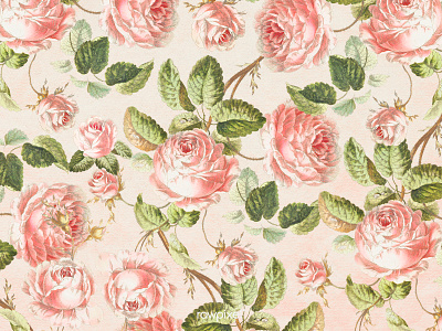 Botanical : Background background background design background image background images background picture botanical botanical background copyspace cream background decoration decorative design design element design resource design space feminine backgrounds floral floral background floral wallpaper flower