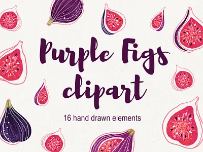 Hand drawn Purple Figs clipart clipart design digital art digital illustration fruits hand drawn illustration illustrations