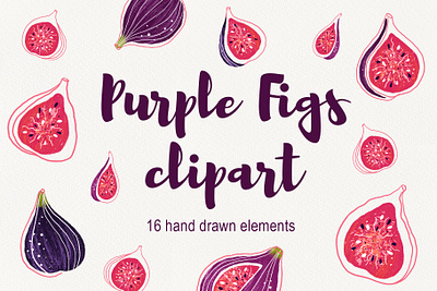 Hand drawn Purple Figs clipart clipart design digital art digital illustration fruits hand drawn illustration illustrations