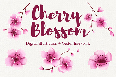 Cherry Blossom Clipart cherry cherry blossom clipart design digital art digital illustration flowers hand drawn illustration illustrations