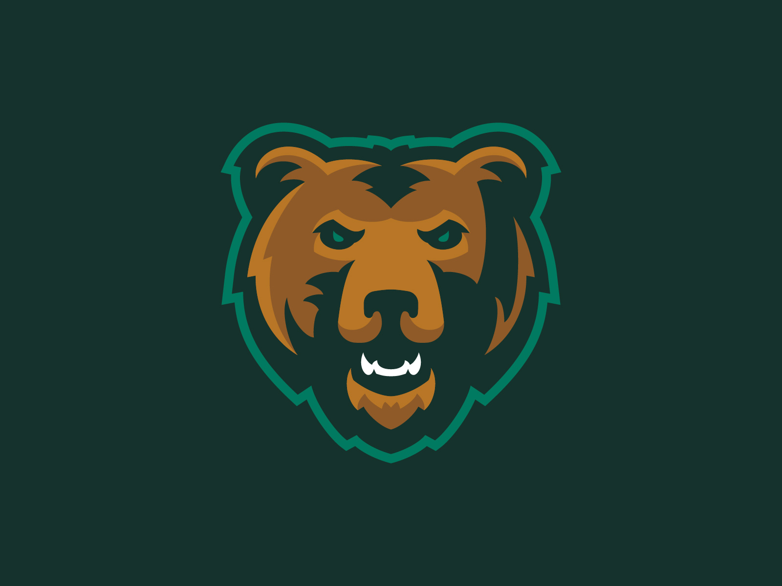 Richland County Bears by Matthew Doyle on Dribbble