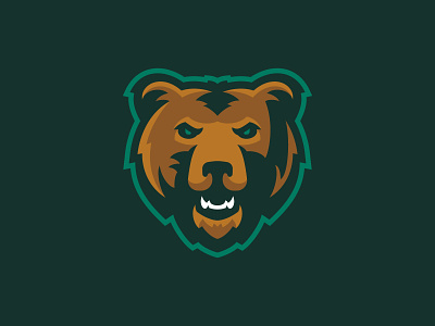 Richland County Bears basketball bears brand branding design forest grizzly identity design illustration logo logo design mascot matthew doyle sports sports design vector