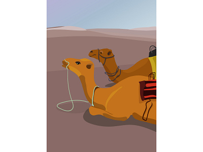 Morning in the desert 2d adobe illustrator camel desert illustration morning vector
