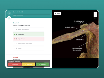 Anatomy Bootcamp anatomy education exam learning quiz science test