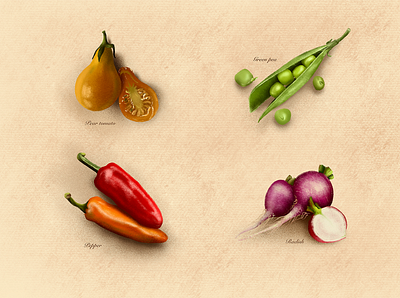 Vegetables graphic illustration procreate procreateapp vegetables