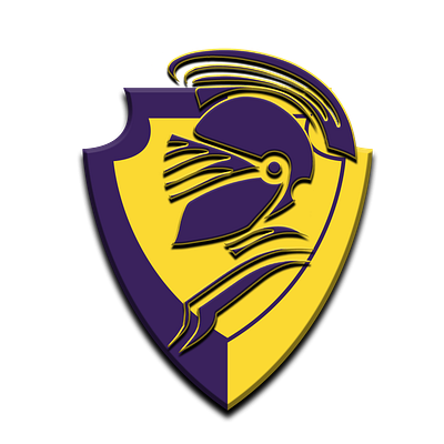 Trinbago Knight Riders team logo creative cricket cricket app cricket logo design duggout graphic design illustration logo ui