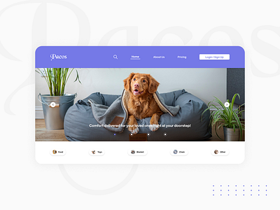 Pacos Pet Store branding design flat minimal productdesign simple ui uiux uiuxdesign uiuxdesigner userexperience userinterface ux webdesign webdevelopment