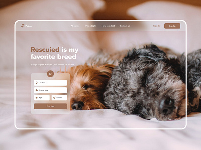 Adopt a dog concept design dog figma pet ui ui ux ux web design