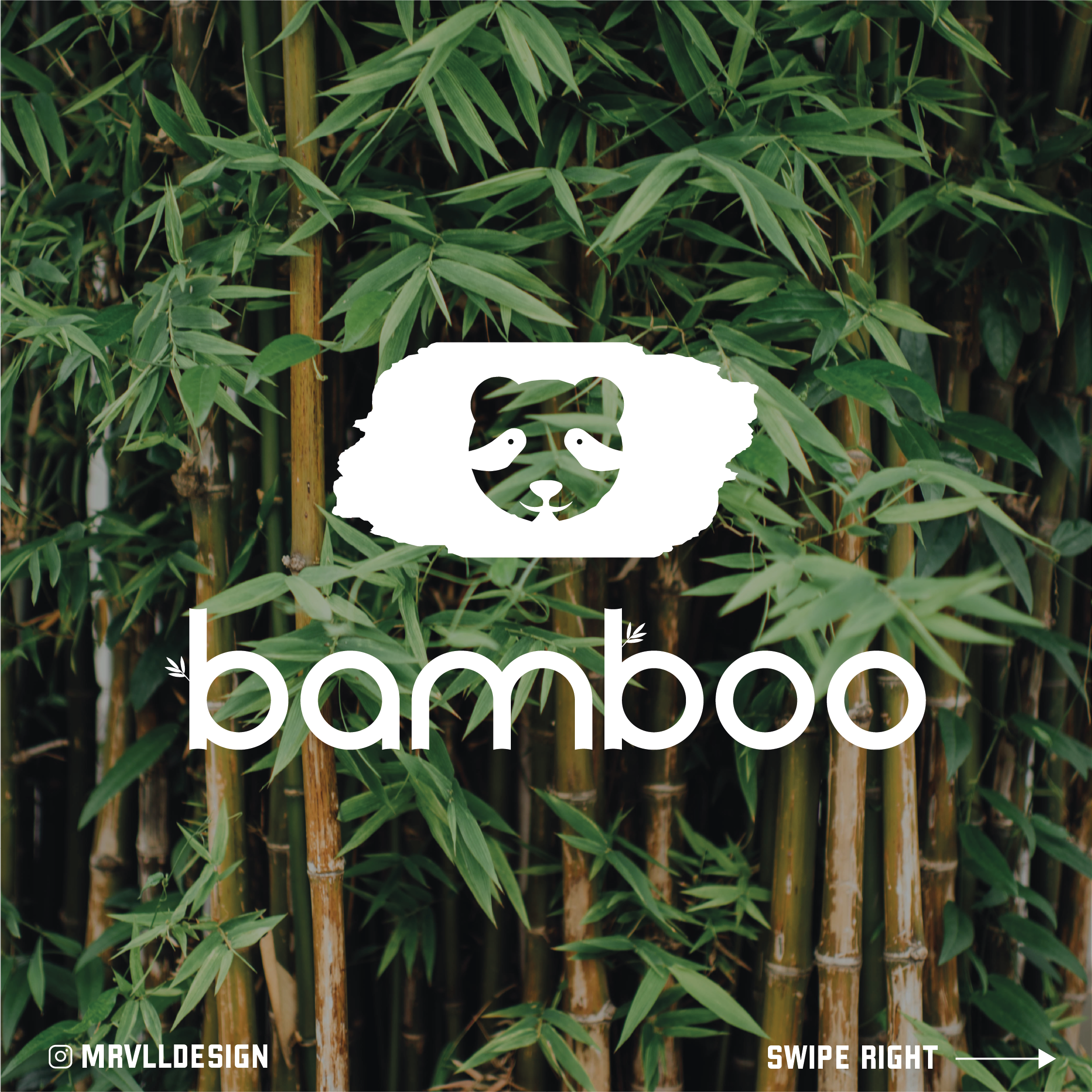 Example of Bamboo