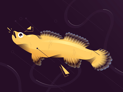 Relict Darter animals endangered endangered species fish freshwater illustration vector