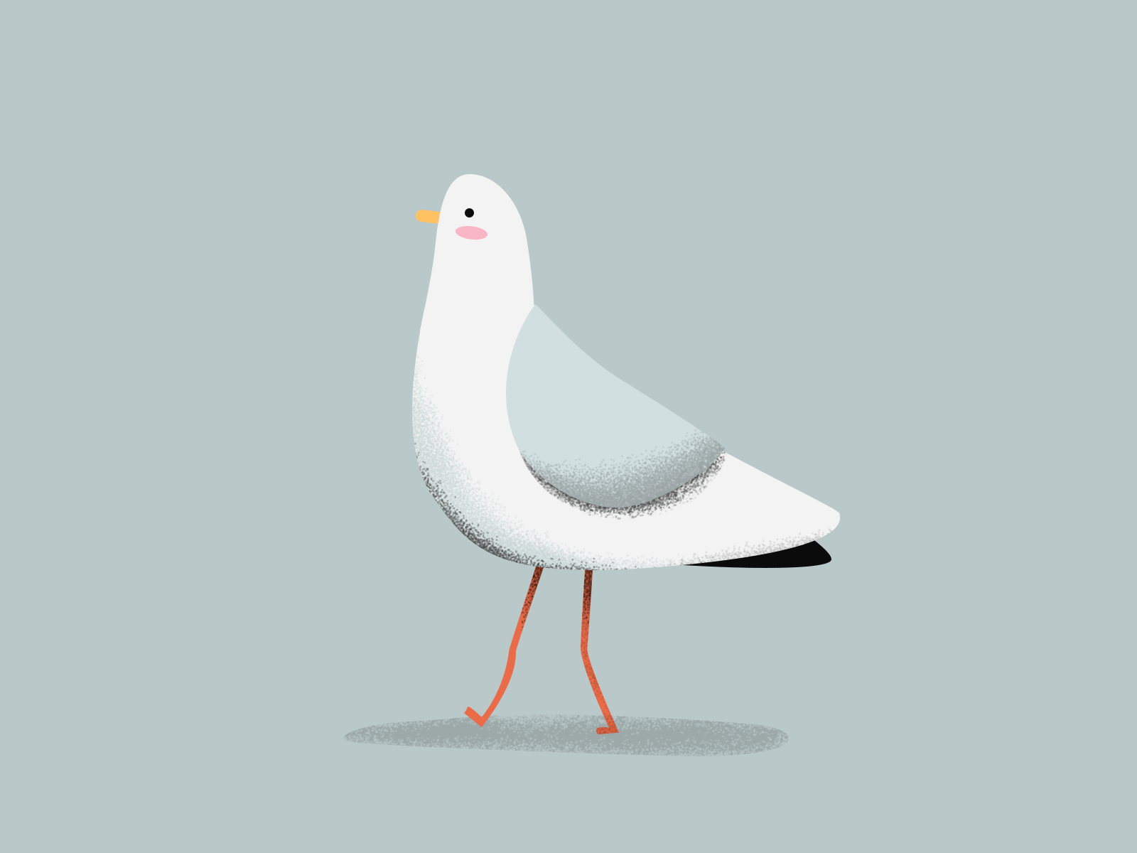 Seagull 2d 2d animation animal animation bird cute gif illustration motion graphic seagull