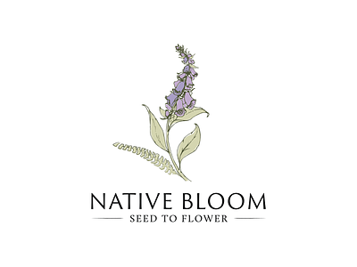 Native Bloom art bloom design fern floristry flower foxglove logo native purple sage seed sketch
