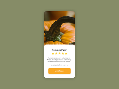 Favorite Autumn Pastime autumn dailyui design dribbbleweeklywarmup harvest pumpkin ui uidesign warm