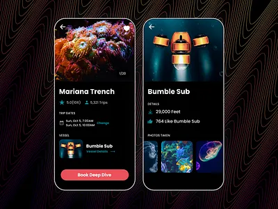 Rent a Sub-Drone branding concept design graphicdesign product design ui ux visual design