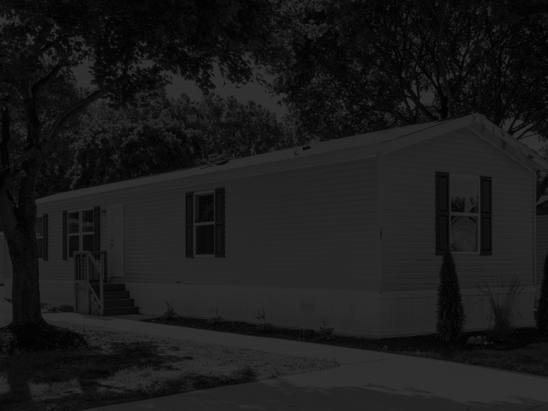 Buy 1 Home Animated Promo adobe advertisment after effects aftereffects animated animated ad animated gif animated image animated promo animation clean promo