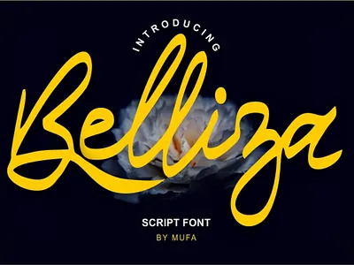 BELLIZA - Elegant Script Font by Mufa app branding calligraphy design font font design script font typography web website