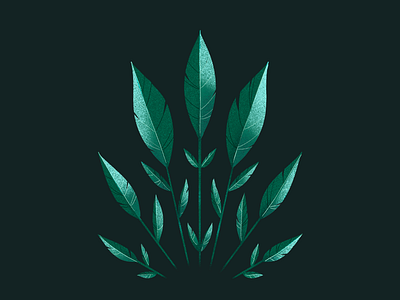 Botany Flowers symmetrical illustration branding branding illustration design graphic design graphic design brand green illustration illustration illustration art leaves illustration nature illustration plant symmetrical illustration