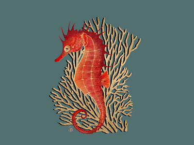 Seahorse animal art artist artwork characterart corn creatureart creaturefeature digitaldrawing digitalillustration draw drawings illustration illustrationoftheday procreate procreateart sketchbook snake traditionalart