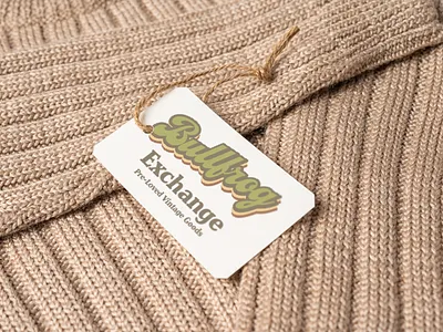 Bullfrog Exchange branding graphic design illustration logo